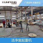 山东无尘起重机厂家定制供应