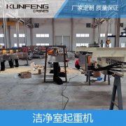 济南定制生产无尘起重机的供应商