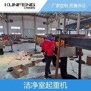 北京定制专用无尘起重机系统