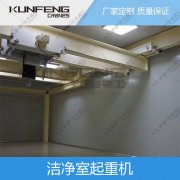 无锡生物医药专用无尘室起重机定制
