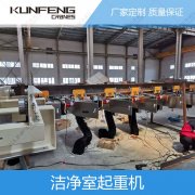 上海食品级无尘起重机系统