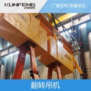 河南翻转吊机非标定制 河南翻转吊机非标定制