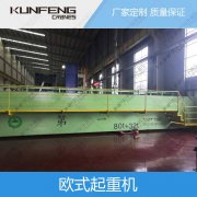 合肥欧式悬挂起重机和普通悬挂起重机优缺点对比