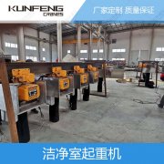 洁净室智能起重机系统的介绍